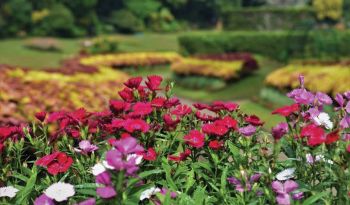 botanic-gardens-kandy-all-inclusive-honeymoon-packages-in-sri-lanka-ceylon-expeditions 