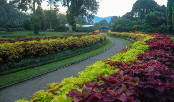 royal-botanic-garden-kandy-all-inclusive-honeymoon-packages-in-sri-lanka-ceylon-expeditions 