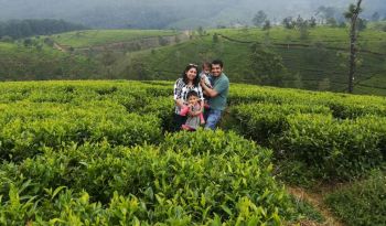 tea-estate-nuwara-eliya-all-inclusive-family-holidays-sri-lanka-ceylon-expeditions 