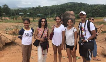 elephant-orphanage-all-inclusive-holidays-to-sri-lanka-and-maldives-ceylon-expeditions 