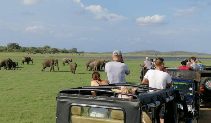 jeep-safari-minneriya-national-park-luxury-volunteer-vacations-sri-lanka-ceylon-expeditions 