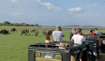 wildlife-safari-minneriya-luxury-wheelchair-accessible-holidays-in-sri-lanka-ceylon-expeditions 