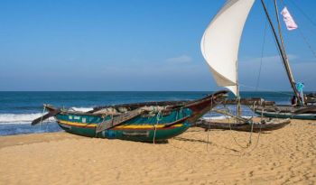 fishing-boat-negombo-beach-luxury-tailor-made-holidays-sri-lanka-ceylon-expeditions-travels