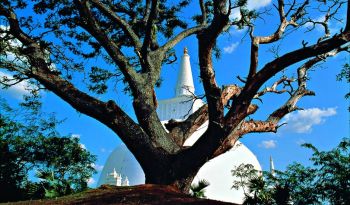 stupa-in-anuradhapura-bespoke-holidays-sri-lanka-and-maldives-ceylon-expeditions