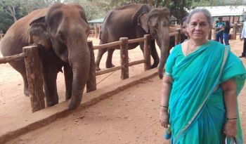 elephant-orphanage-pinnawala-tailor-made-safari-holidays-sri-lanka-ceylon-expeditions 