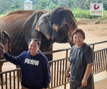 elephant-orphanage-pinnawala-ceylon-expeditions