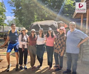 elephant-orphanage-pinnawala-ceylon-expeditions